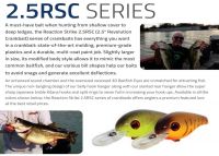 REACTION STRIKE:2.5RC 3.0