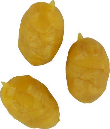 Artificial Tigernuts light brown 5 pieces