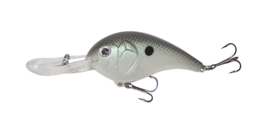 Green Gizzard Shad 