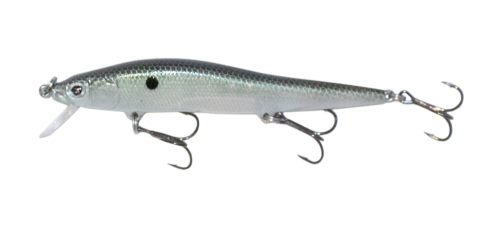 Green Gizzard Shad 