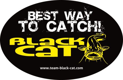 Black Cat Sticker 12cm 8cm