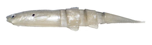 Super Jerky J 5.25
