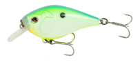 Citrus Shad 