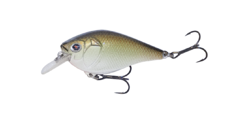 Copper Green Shad 