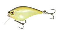 Copper Green Shad