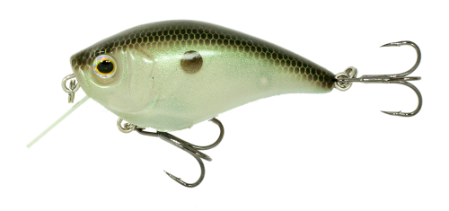 Green Gizzard Shad 
